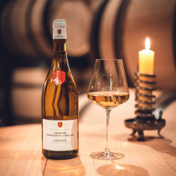 Ladoix - Blanc - 2023 -...