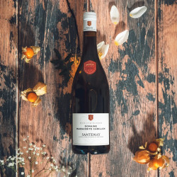 Bouteille de Santenay - Blanc - 2023 - Domaine Marguerite Carillon