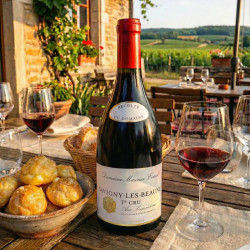 Bouteille de Savigny-Lès-Beaune 1er Cru Les Serpentières - Rouge - 2020 - Domaine Maurice Ecart