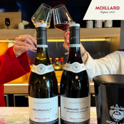 Dégustation Découverte - Caveau Moillard Meursault