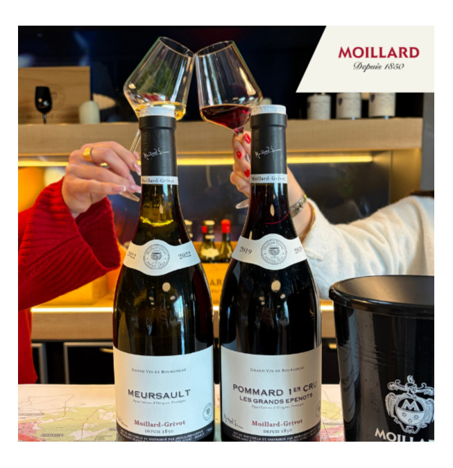 Dégustation Découverte - Caveau Moillard Meursault