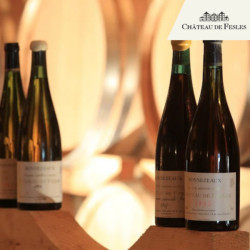 Visite dégustation - Château de Fesles
