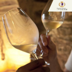 Initiation à la dégustation - Domaine Viticole de Colmar