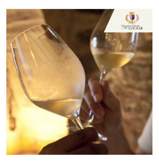 Initiation à la dégustation - Domaine Viticole de Colmar