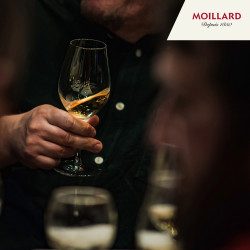 Degustation Prestige - Caveau Moillard Meursault