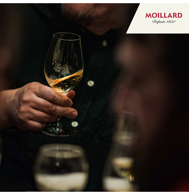 Degustation Prestige - Caveau Moillard Meursault