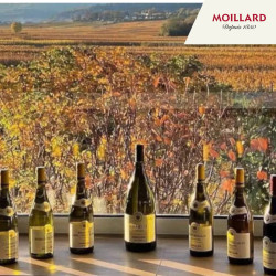 Dégustation Grands Crus - Caveau Moillard Meursault