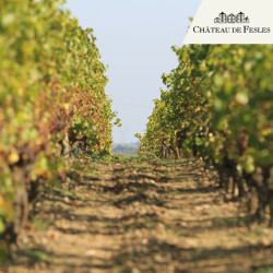 Les aventuriers du terroir...