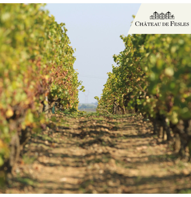 Les aventuriers du terroir - Famille - Château de Fesles