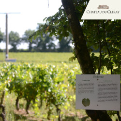 Jeux de piste - Château du...