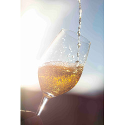 Pack "Pépite" de Bordeaux