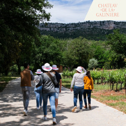 Immersion vignes & vins - Château de la Galinière
