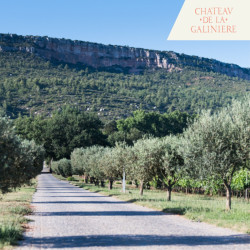 Immersion vignes & vins Prestige - Château de la Galinière