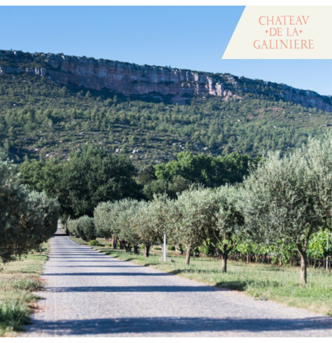 Immersion vignes & vins Prestige - Château de la Galinière