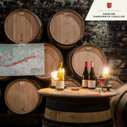Dégustation Grand Crus - Domaine Marguerite Carillon
