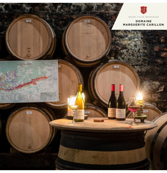 Dégustation Grand Crus - Domaine Marguerite Carillon