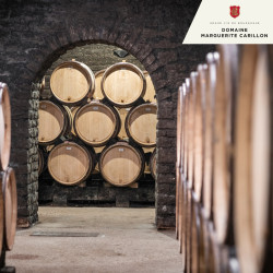 Dégustation Decouverte - Domaine Marguerite Carillon