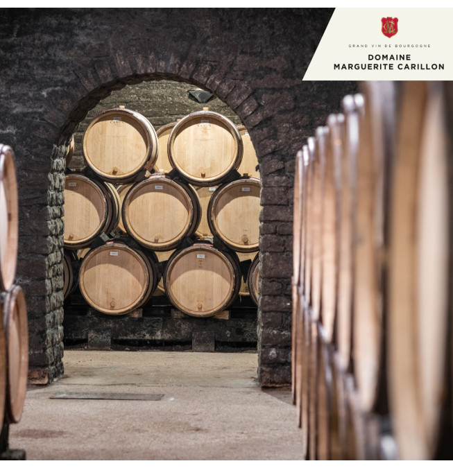 Dégustation Decouverte - Domaine Marguerite Carillon