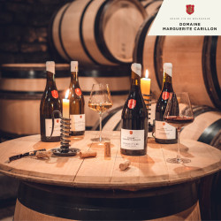 Dégustation Immersion Gourmande - Domaine Marguerite Carillon