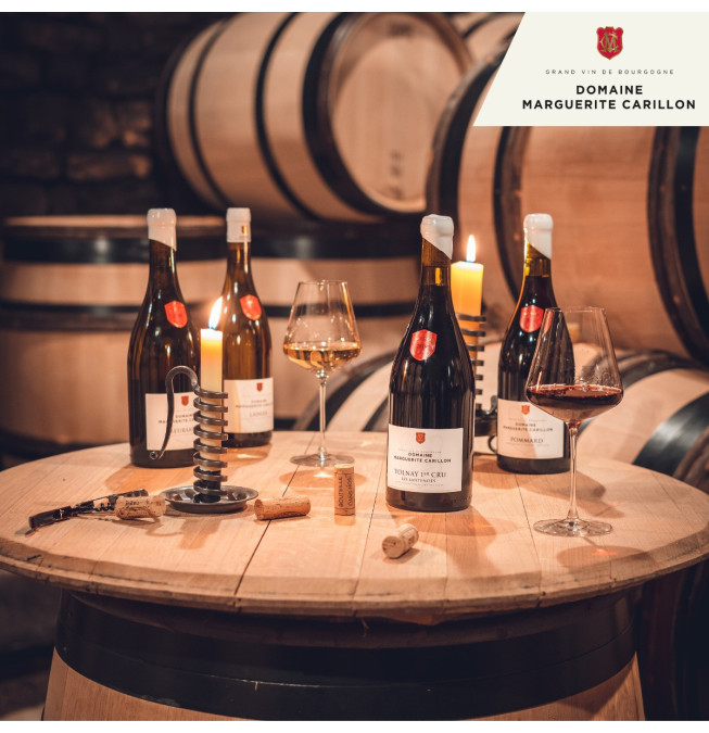 Dégustation Immersion Gourmande - Domaine Marguerite Carillon