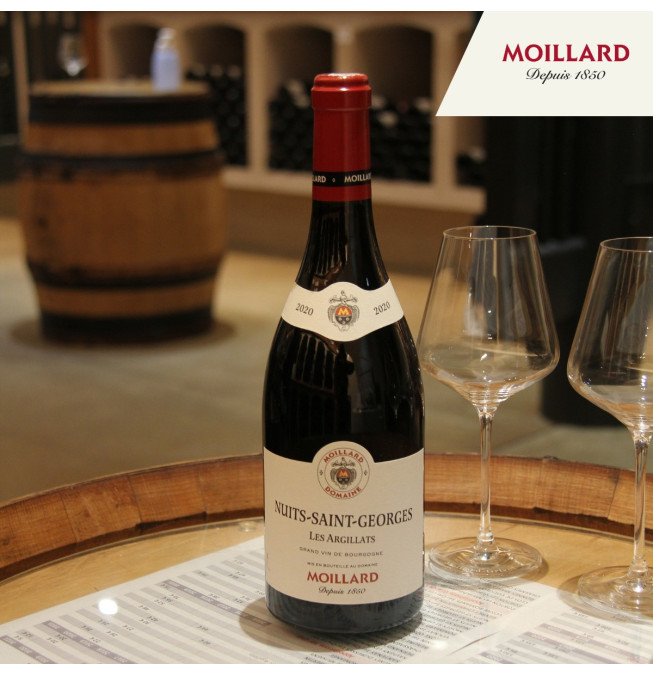 Découverte de 3 vins - Caveau Moillard Nuits Saint Georges