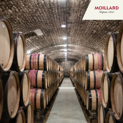 Découverte de 5 vins - Caveau Moillard Nuits Saint Georges