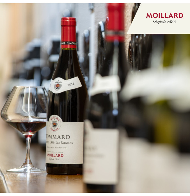 Prestige 6 vins - Caveau Moillard Nuits Saint Georges