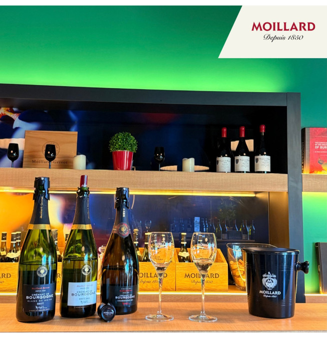 Degustation Petillant - Caveau Moillard Meursault