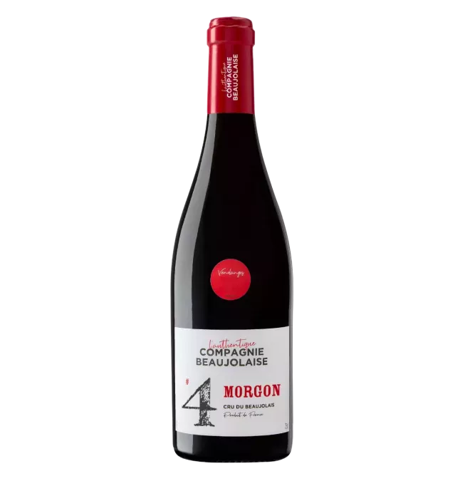 bouteille de Morgon - Compagnie Beaujolaise - Rouge - 2024