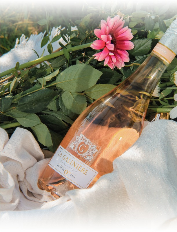 Vin désalcoolisé vs vin sans alcool : quelles différences ?