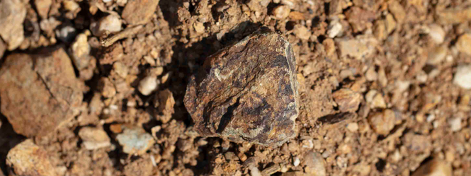 Au <em>coeur</em> de nos <em>régions</em>